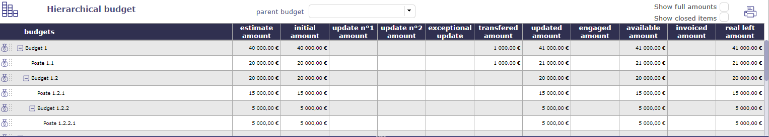 Hierarchical budget screen