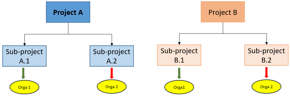 _images/Organization.png